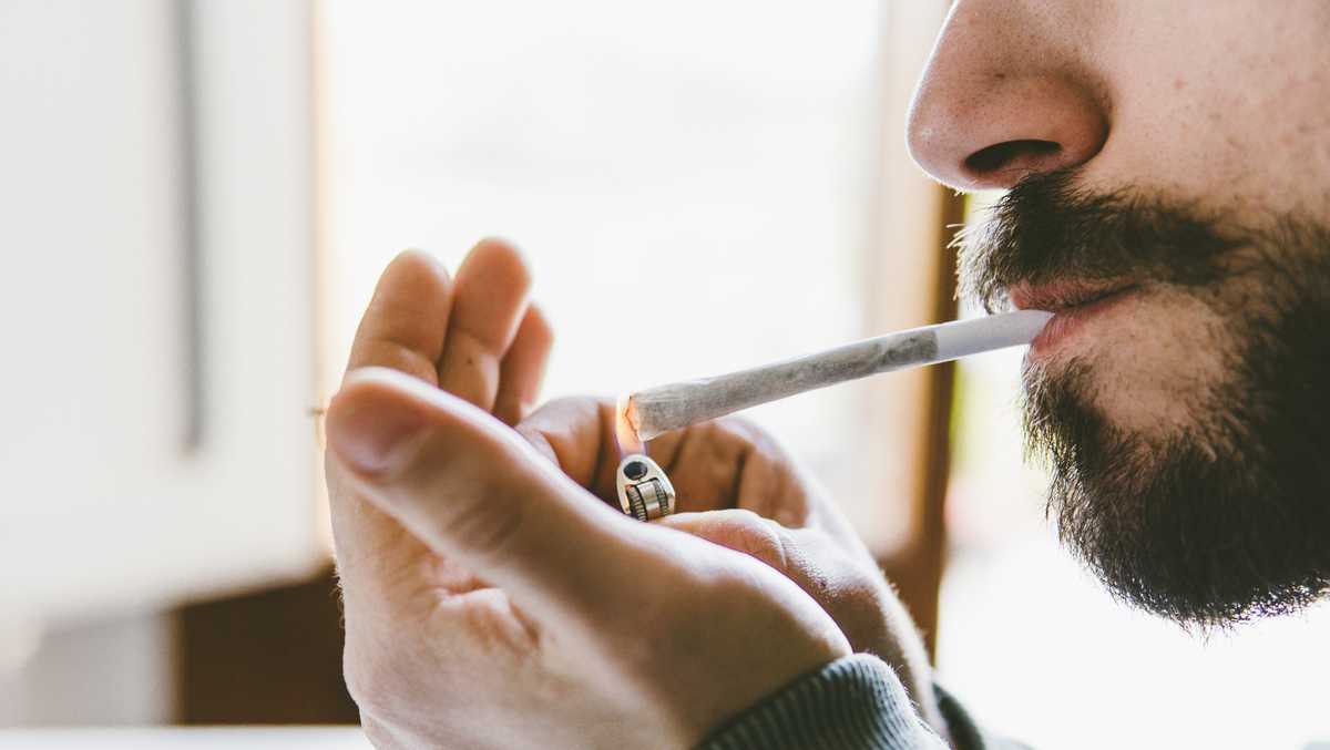 Study shows marijuana use is associated with increased risk of heart attack and stroke