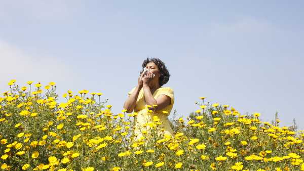 mixed race woman in field of flowers enjoying scent