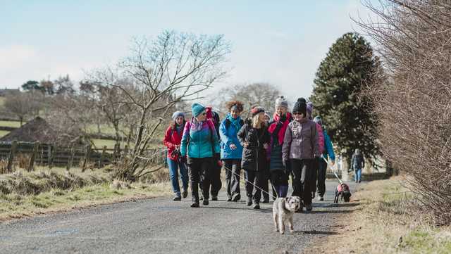 NKY Charity Dog Walkathon to hold last event after 30 years - Vimarsana News