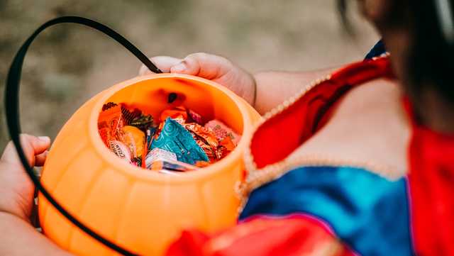 Halloween 2021 events: Things to do in Sacramento, Stockton and Modesto this weekend - Vimarsana News
