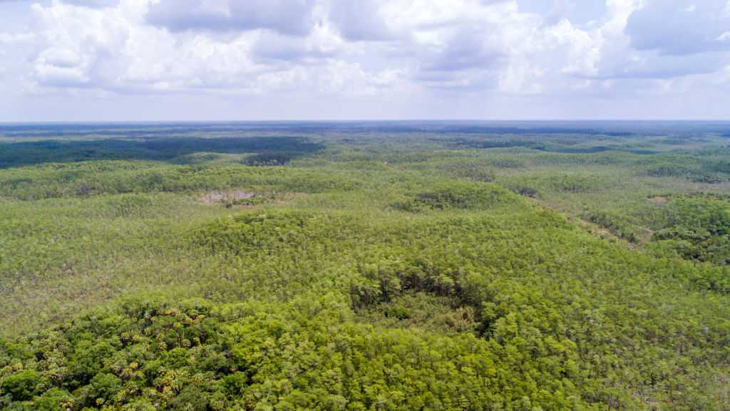Man missing in Big Cypress National Preserve found