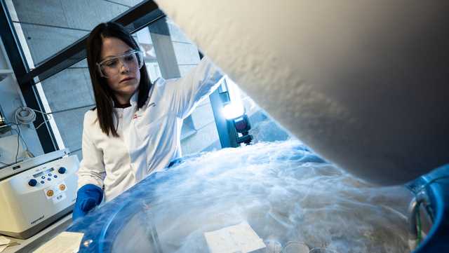 How an Alabama court ruling that frozen embryos are children could affect IVF - Vimarsana News