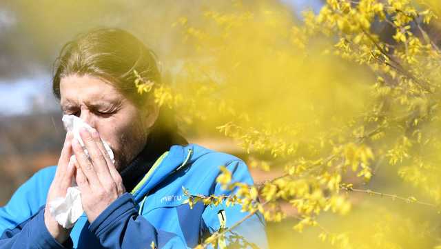 Allergy season will start earlier and be more intense because of climate change, study suggests - Vimarsana News