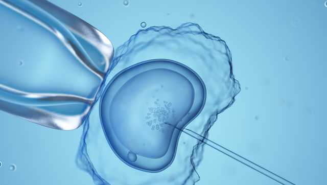Homewood fertility physicians disappointed with Supreme Court ruling on frozen embryos - Vimarsana News