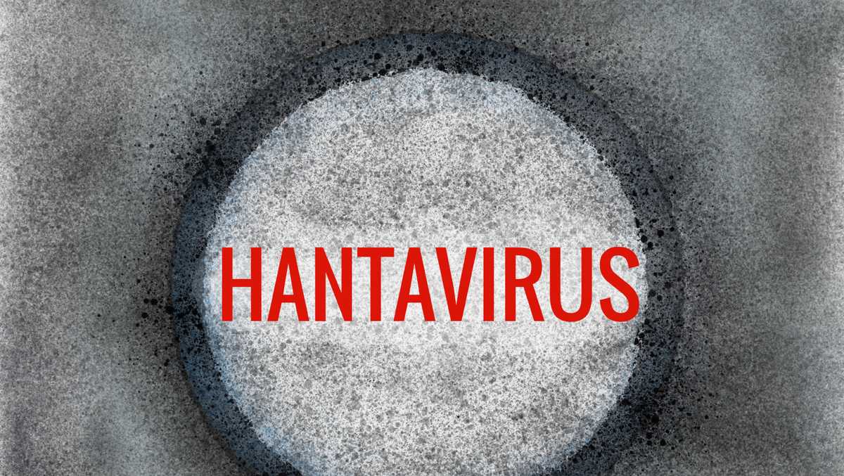 New Mexico reports first case of hantavirus in 2024