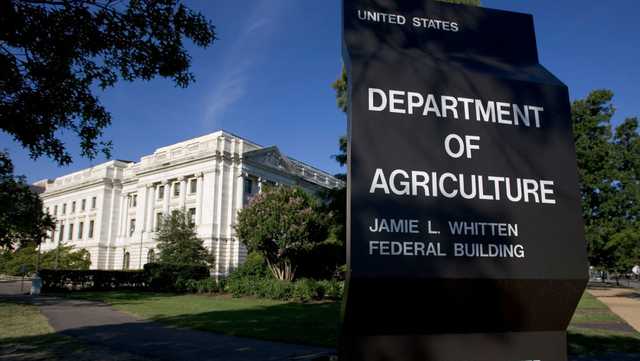 USDA tells producers to reduce salmonella in certain frozen chicken products - Vimarsana News