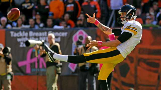 Pittsburgh Steelers sign punter Brad Wing