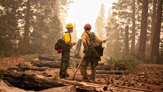 Caldor Fire burns more than 149K acres, evacuation orders issued for Pleasant Valley area - Vimarsana News