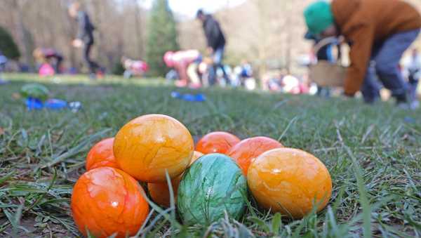 17 April 2022, Saxony-Anhalt, Wernigerode: Colorful Easter eggs lie on a meadow in the Christianental Wildlife Park. In bright sunshine, many visitors and guests took the opportunity on Easter Sunday for an outing. In the game park Christianental was invited to the traditional Easter egg collection. For this purpose, more than 1000 Easter eggs were distributed on a large meadow. Photo: Matthias Bein/dpa/ZB (Photo by Matthias Bein/picture alliance via Getty Images)