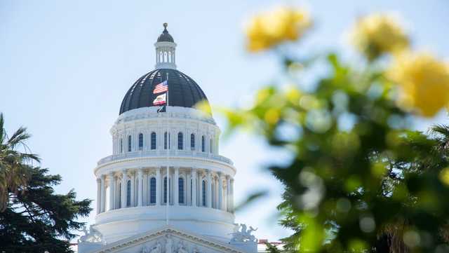 California bill highlighting gender affirmation in child custody cases moves forward - Vimarsana News