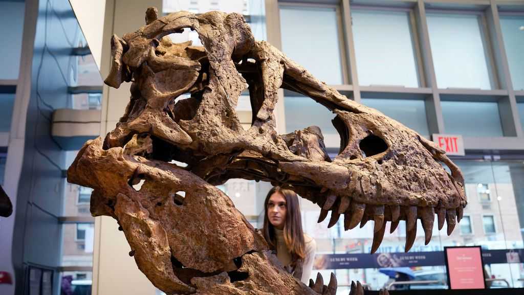 Study says some dinosaurs,T.rex might have had lips - Vimarsana News