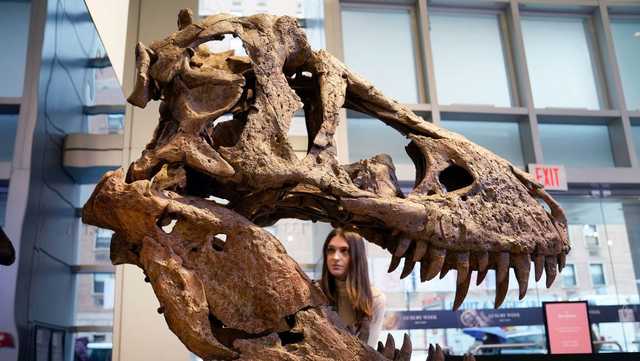 Study says some dinosaurs,T.rex might have had lips - Vimarsana News