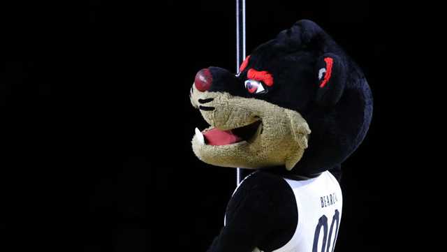 Bearcat nominated for 2023 Mascot Hall of Fame class - Vimarsana News