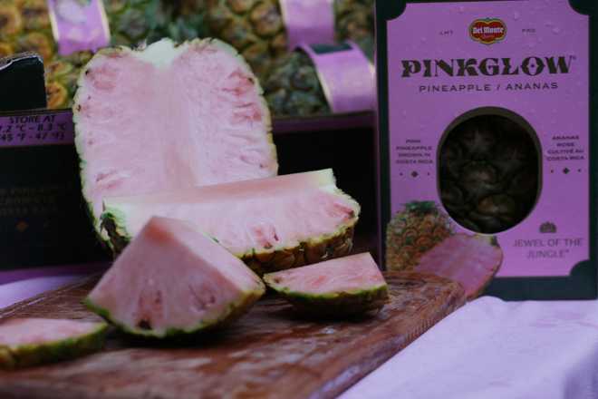 View of pink pineapples at Del Monte Fresh company plant in Buenos Aires, Puntarenas province, Costa Rica, on March 16, 2023. - Unique in its kind, the pink pineapple was born after 17 years of research in the laboratories of Fresh Del Monte, a centennial company that markets fruit and vegetables worldwide from the Central American country. (Photo by Randall CAMPOS / AFP) (Photo by RANDALL CAMPOS/AFP via Getty Images)