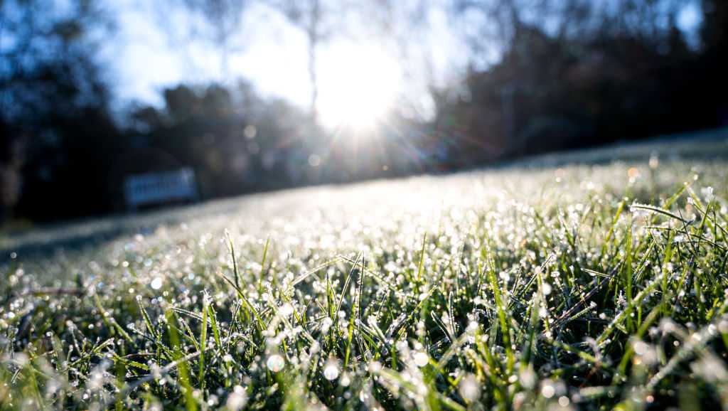 Iowa weather Why frost happens even when temperatures don't reach freezing