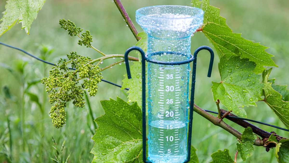 See how much rain your town got so far this week