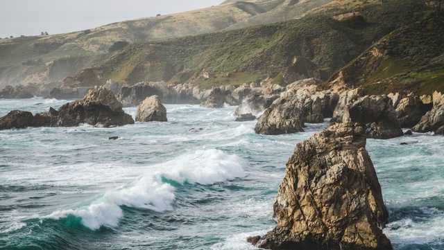 Dozens of abalone poached in Big Sur, 5 arrested - Vimarsana News