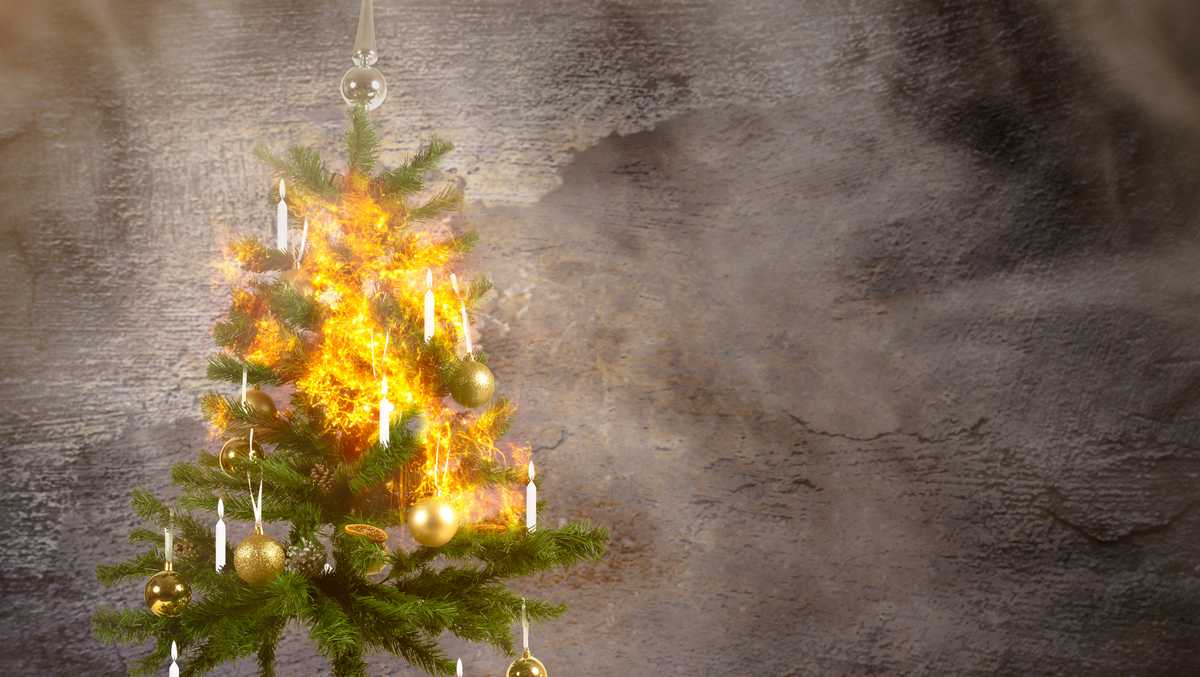 North Carolina How to prevent Christmas tree fires and what to know