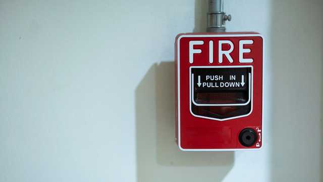 'Ruff-housing' summons fire department to Grimes pet boarding lodge - Vimarsana News