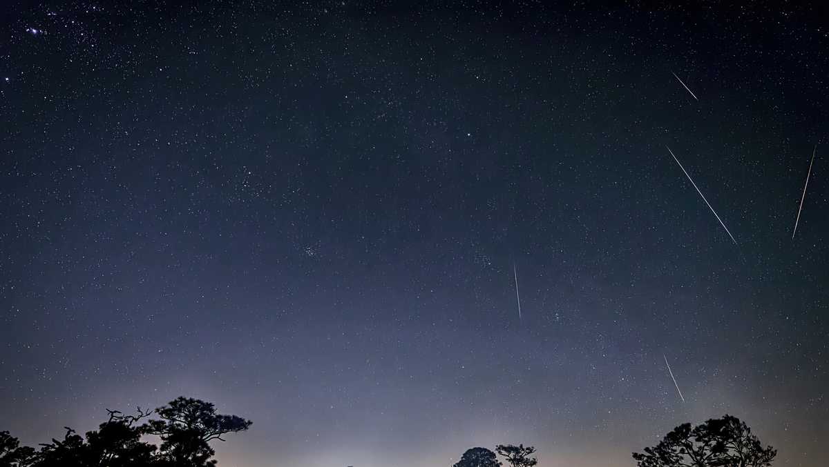 Florida bu hafta sonu Perseid meteor yağmuruna tanık oluyor