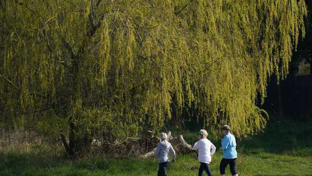 Should you actually get 10,000 steps per day? Experts explain - Vimarsana News