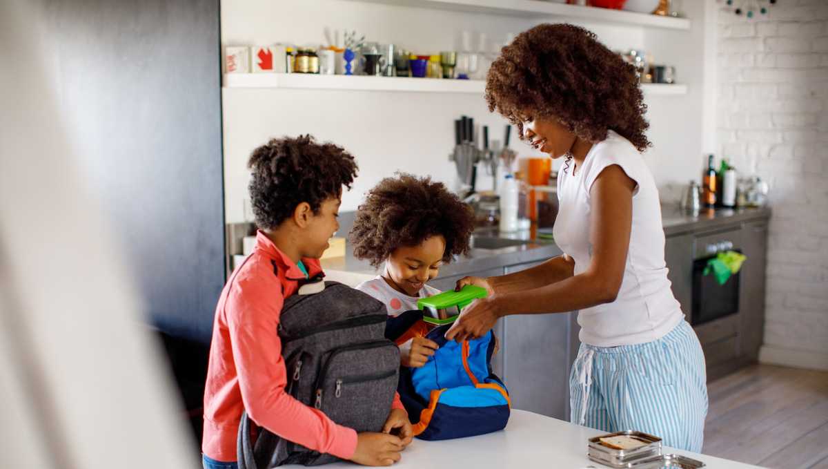 BAC to School: Pack a Safe Lunch 101  Partnership for Food Safety Education