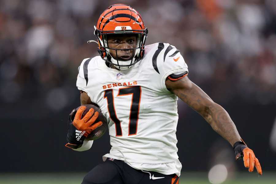 Cincinnati Bengals wide receiver Stanley Morgan (17) and