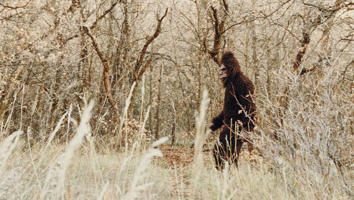 Bigfoot in Ohio? Reports of 'sightings' are going viral on social media