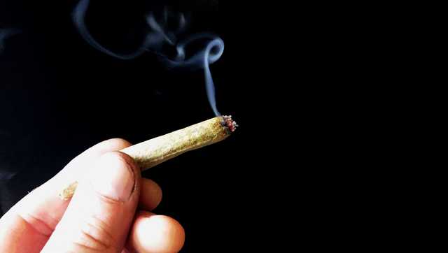 Northern Kentucky state representative introduces legislation to legalize recreational marijuana - Vimarsana News