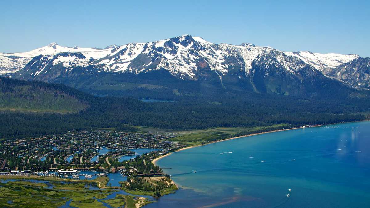 South Lake Tahoe resident tests positive for plague, likely bitten by infected flea