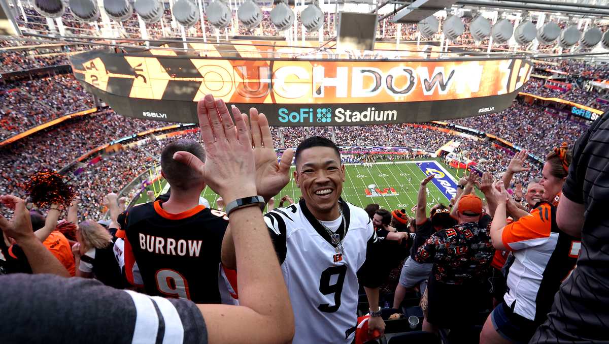 Fans celebrate Bengals win, react to fight with Rams during practice