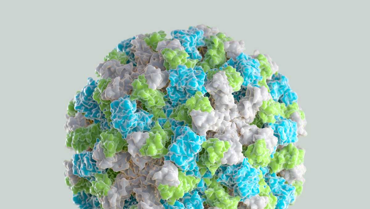 Medford school cancels classes due 'increased spread' of norovirus outbreak