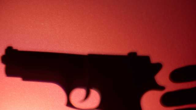 US firearm homicide rate ticks down from pandemic peak - Vimarsana News