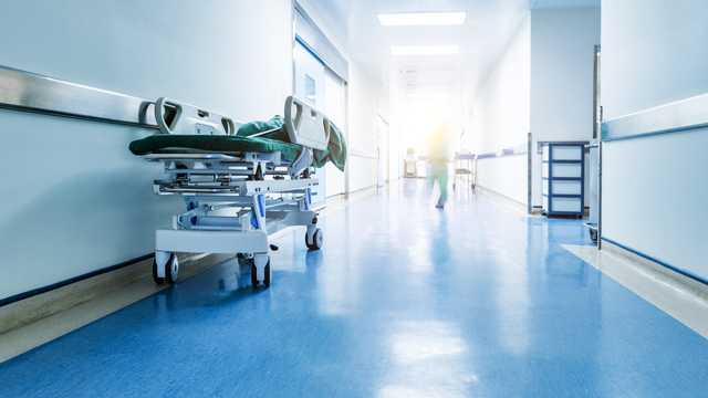 Flesh-eating bacteria: Florida health officials issue warning - Vimarsana News