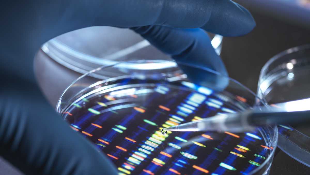 8 bodies from Philadelphia potter's field exhumed for DNA testing