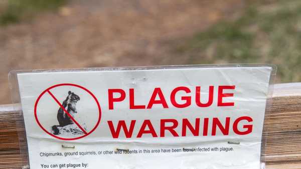 SOUTH LAKE TAHOE, CA - APRIL 7:  A bubonic plague warning is posted on the Rainbow Trail at Taylor Creek gives a good view of the wildlife and vegetation on April 7, 2022, in South Lake Tahoe, CA. Though record rain and snow fell in December, California's water woes continue with much of the state in a "exceptional" or "extreme" drought situation for a third straight year. (Photo by George Rose/Getty Images)