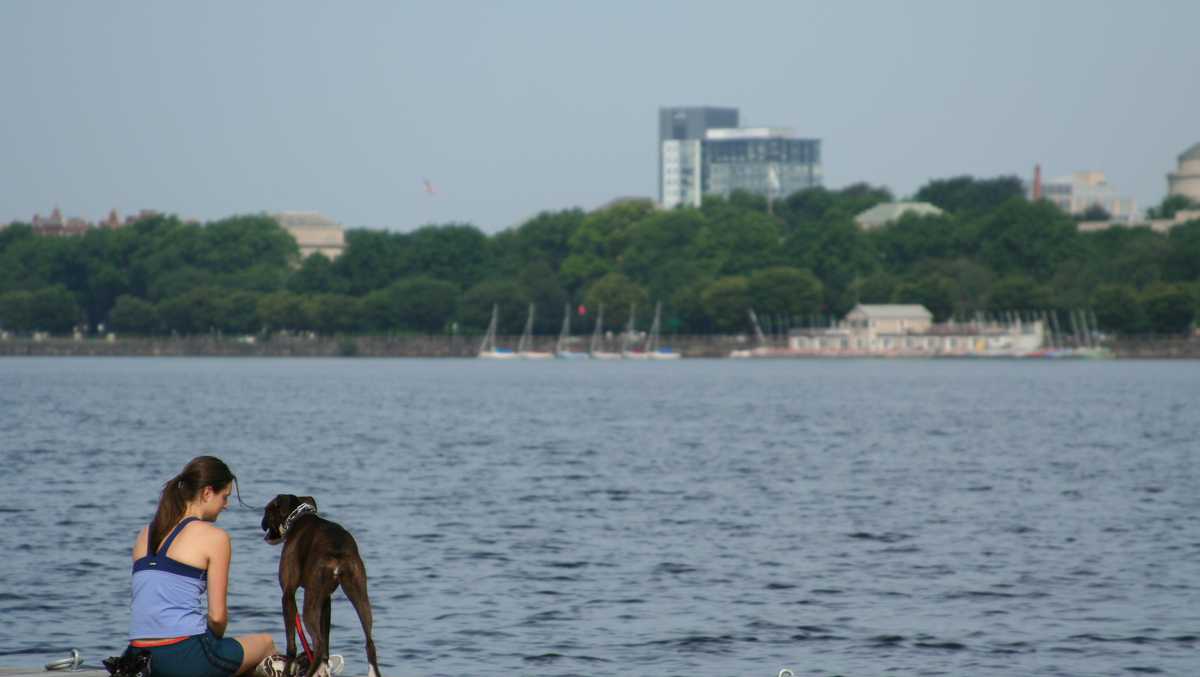 Alert for Residents and Pet Owners: Toxic Algae Discovered in Charles River