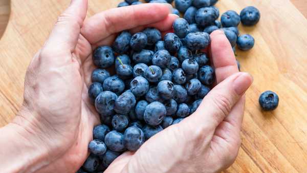 Food healthy blueberry berry organic bilberry natural. vegetarian harvest