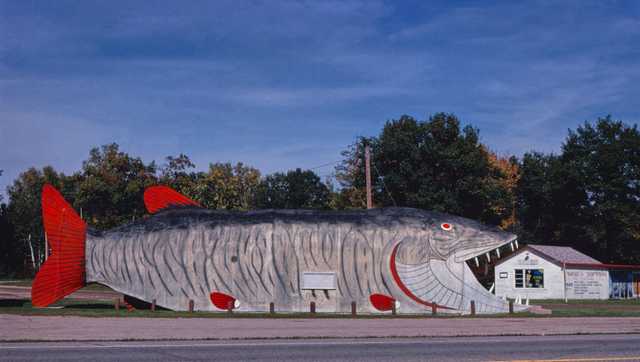 Giant muskie roadside attraction still reeling in tourists - Vimarsana News