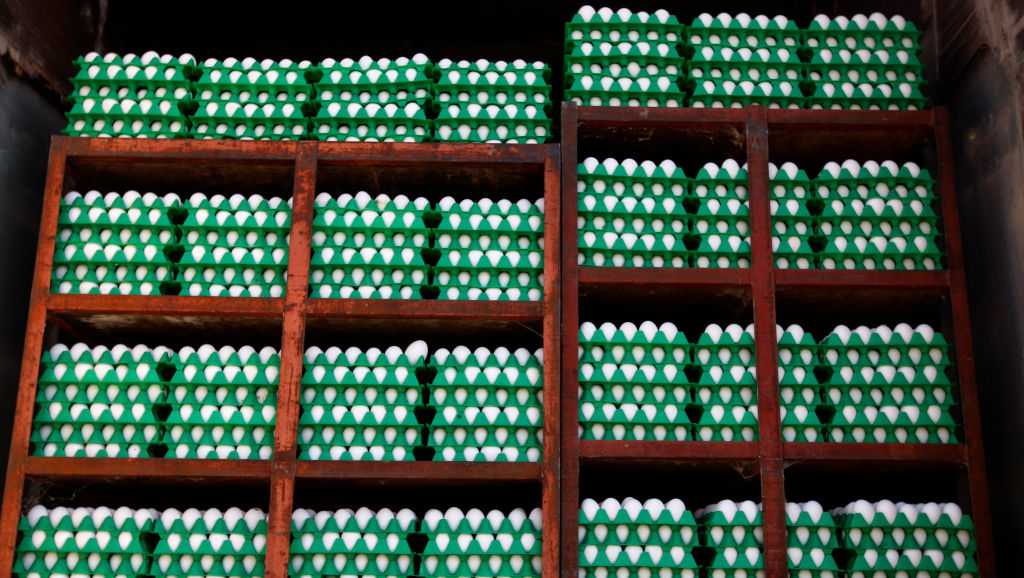 Avian flu is devastating farms in California's 'Egg Basket' as outbreaks roil poultry industry - Vimarsana News