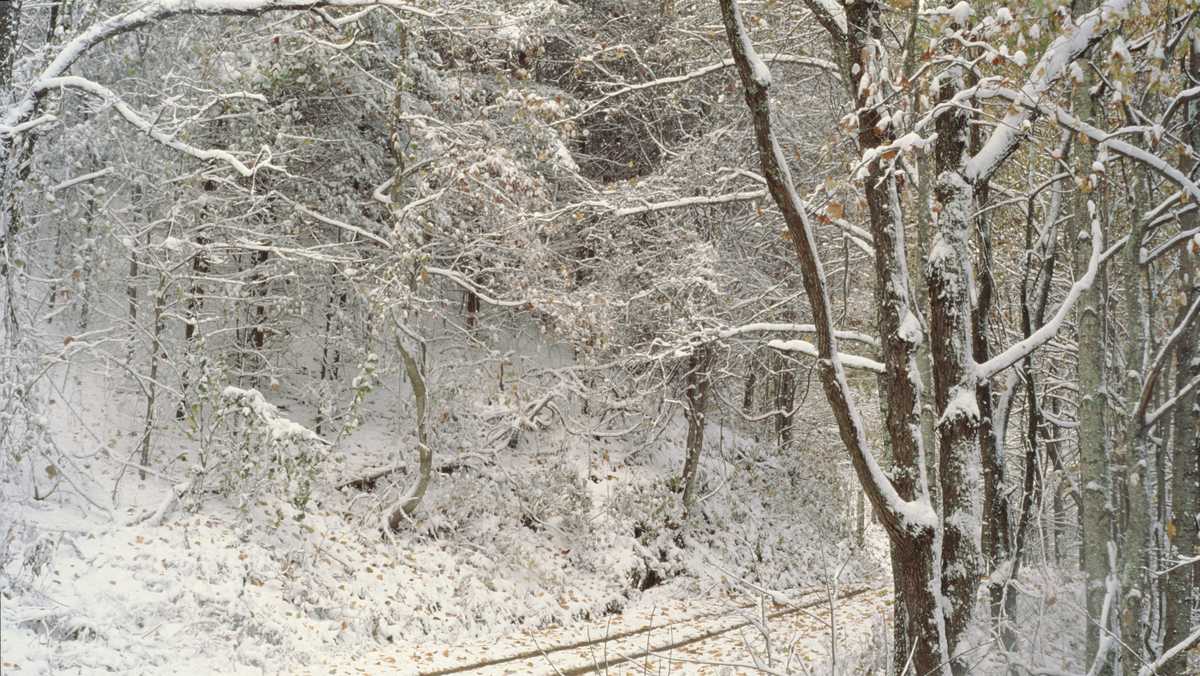 North Carolina With aboveaverage snow forecasted, which months have