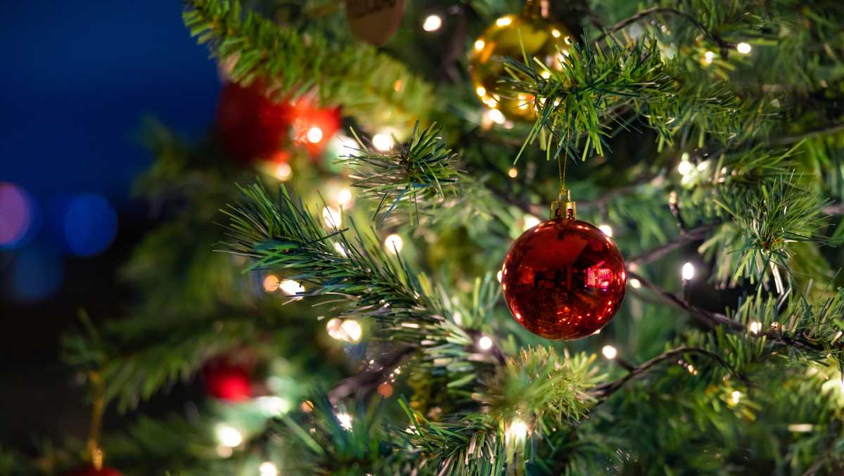 Church Street Christmas Tree to be lit tonight - How you can watch live