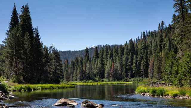 Popular section of Truckee River in California closes for rafting for a surprising reason - Vimarsana News