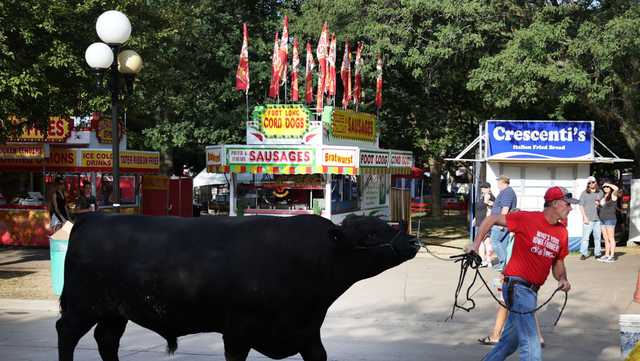 Answering frequently asked questions about the Iowa State Fair - Vimarsana News