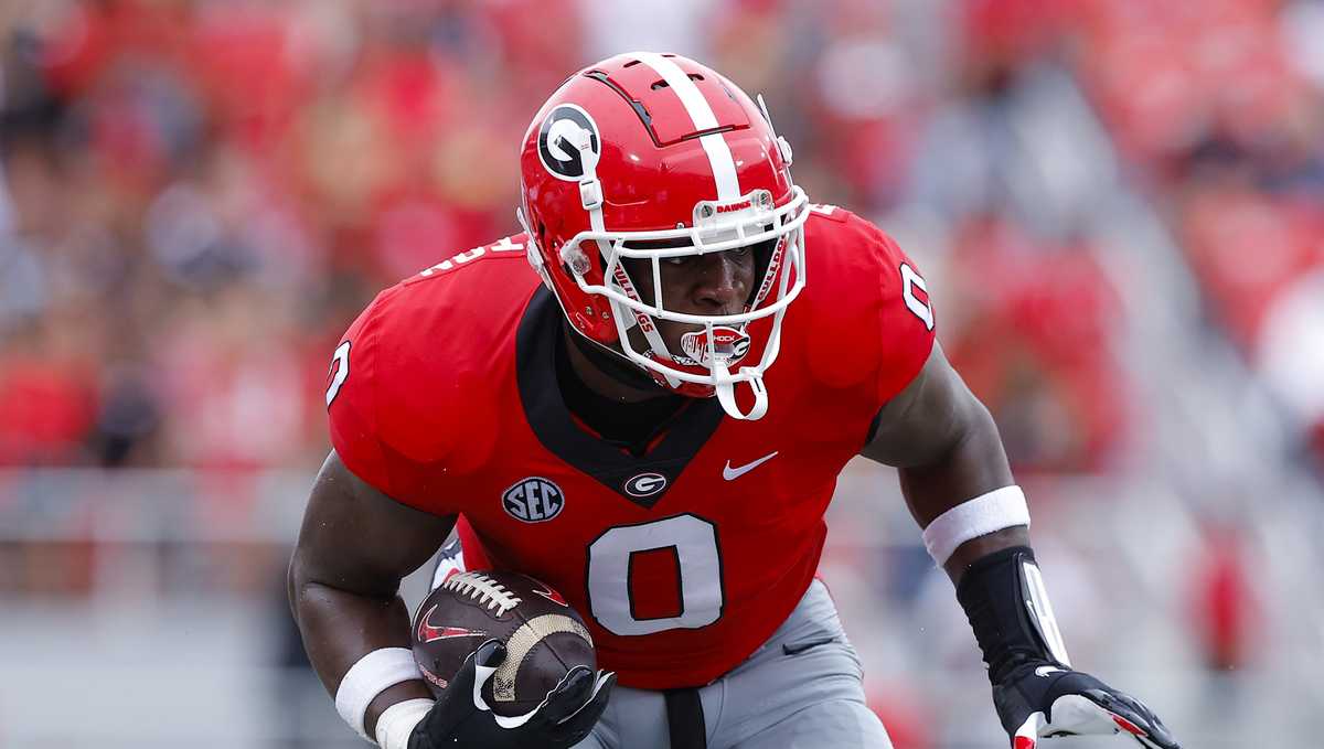 Georgia football players replica jerseys hit market for sale