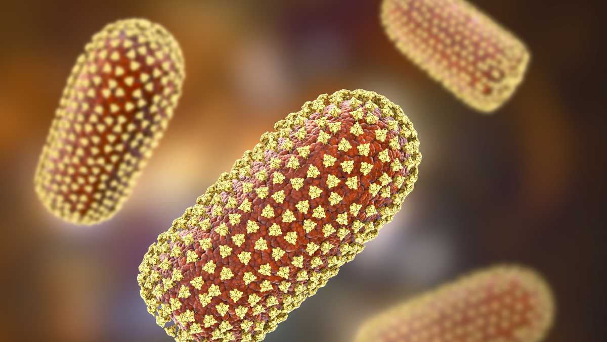 Hiker tests positive for rabies in New Mexico after coyote bite