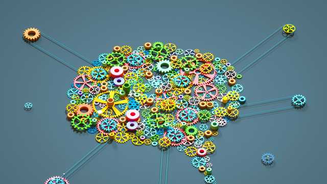 The many states of the brain: What's going on inside your head? - Vimarsana News