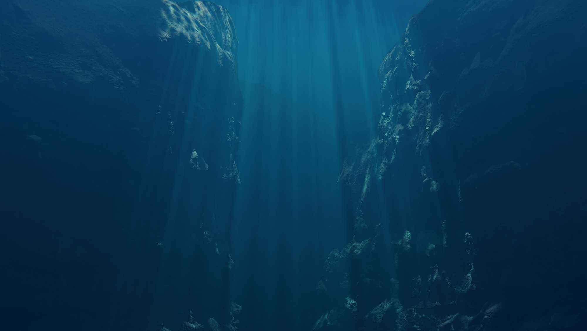 Florida man dies while freediving near Key West - Vimarsana News