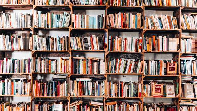 North Carolina: State's first Black-owned children's bookstore moving after threats, owner says - Vimarsana News