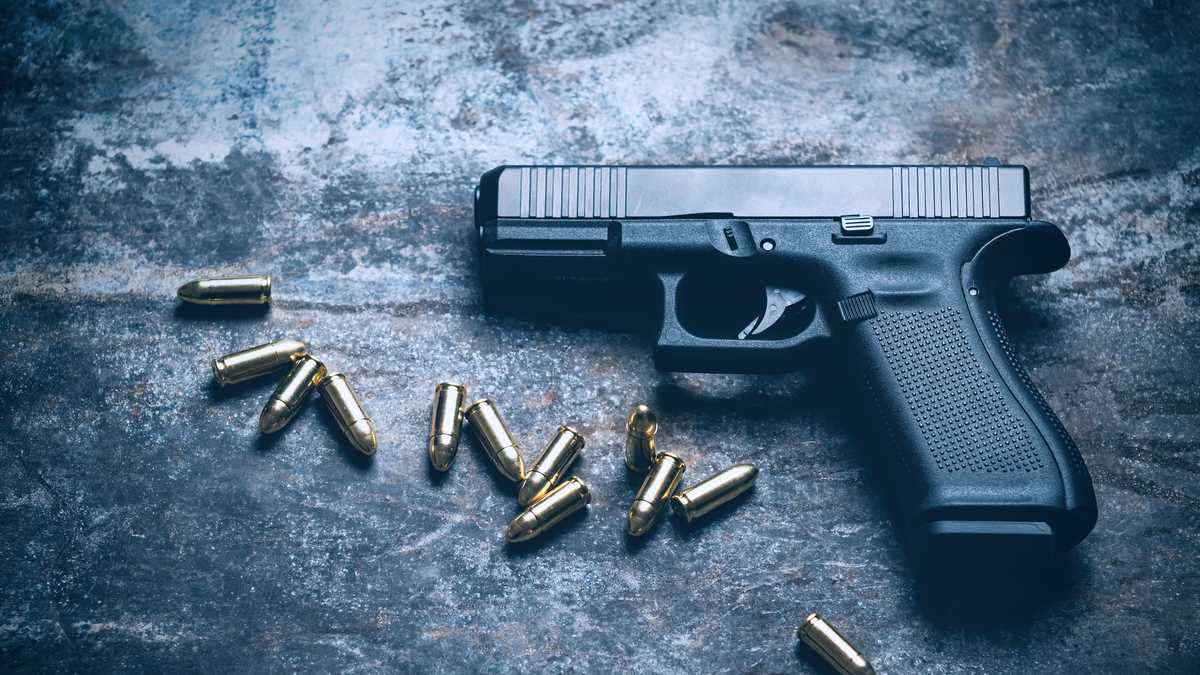 Pressuring gun owners to be more responsible, 2 proposed ordinances are